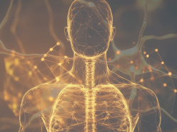 Stilisierte, leuchtende Darstellung eines menschlichen Oberkörpers mit sichtbar hervorgehobener Wi